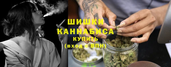 трава Михайловск