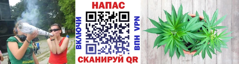 Каннабис индика Катав-Ивановск